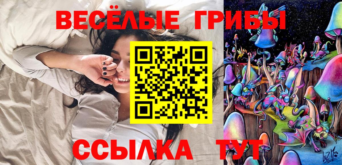 Фролово  Галлюциногенные грибы Psilocybe  Вход с VPN 